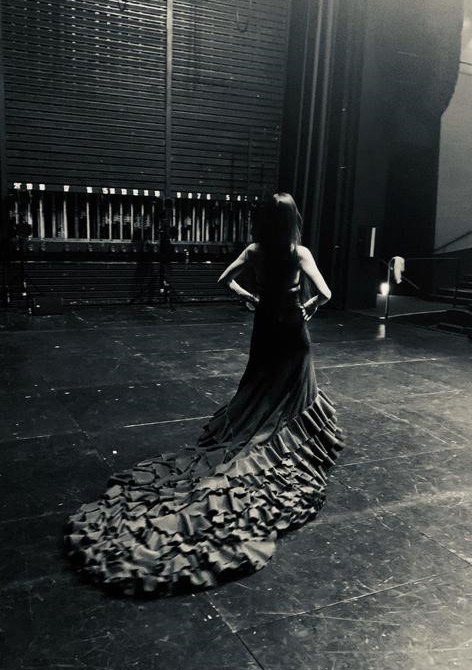 Atelier Pellizcos Flamenco Arreglos mujer con vestido